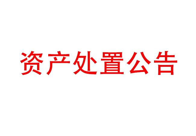 閑置設(shè)備資產(chǎn)處置公告(2023-10)